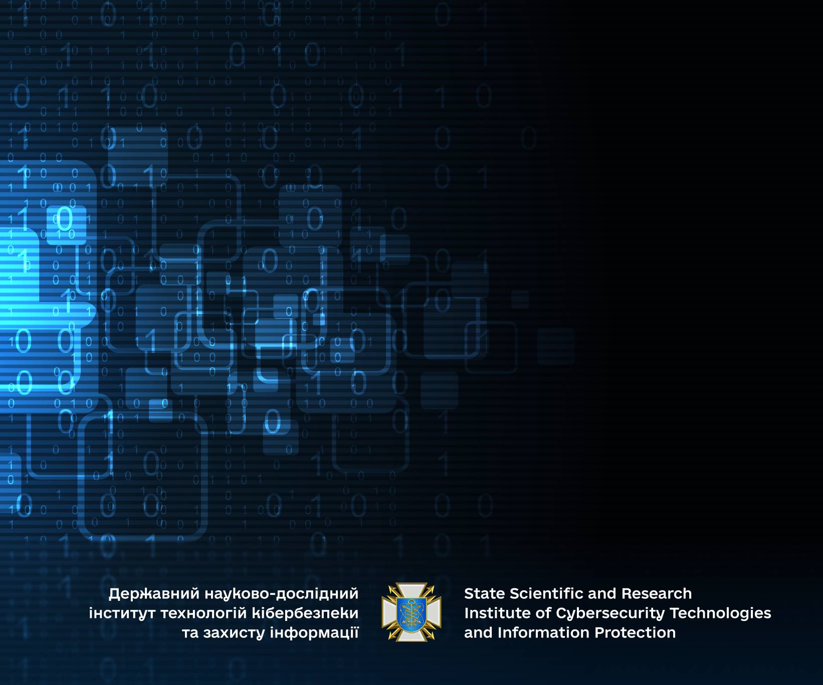 Implementation of European Experience in Combating Cyber Violence - DNDI